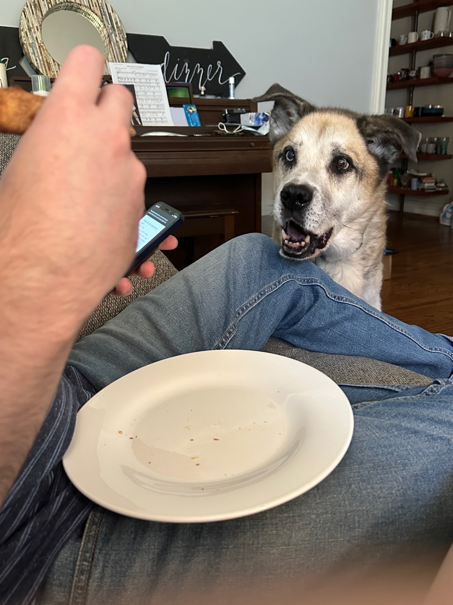 Picture of me eating a gyro, an empty plate on my lap, while Toby looks on, shocked that I am not giving it to him.
